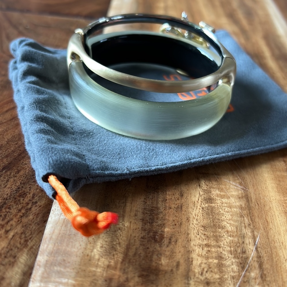 Alexis Bittar Lucite Magnetic Hinged Bangle Bracelet - Picture 5 of 7